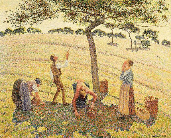 Camille Pissarro Apple harvest at Eragny oil painting image